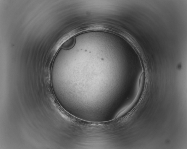 X0000116340858200912151327