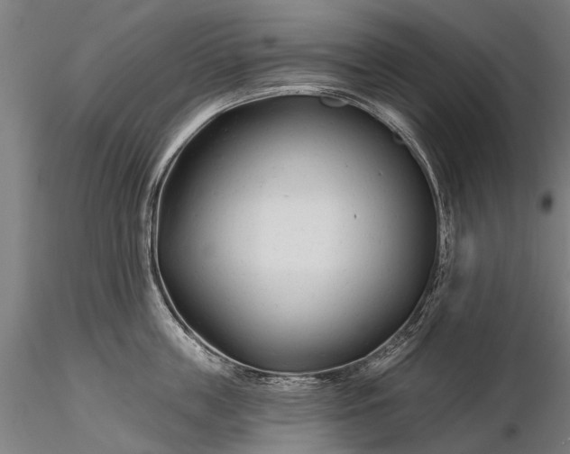 X0000116340859200912151327