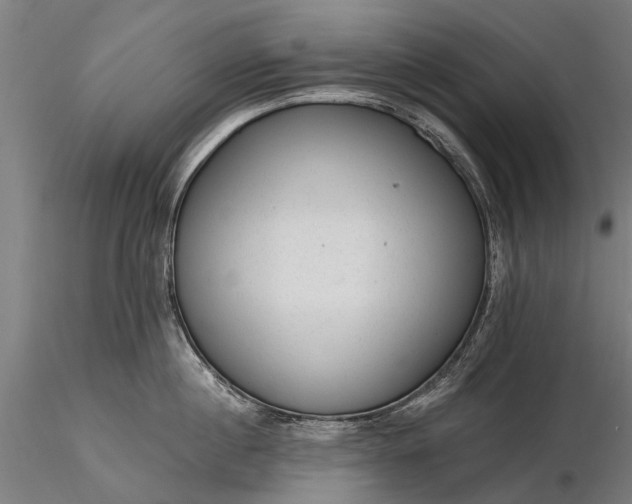 X0000116340860200912151327