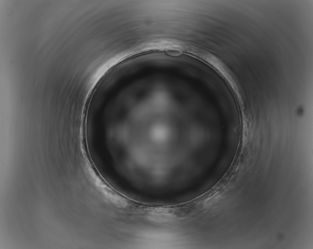 X0000116340861200912151327