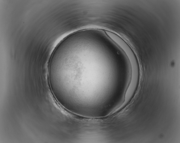 X0000116340862200912151327