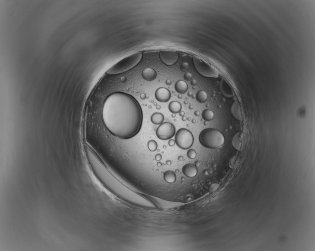 X0000116340863200912151327