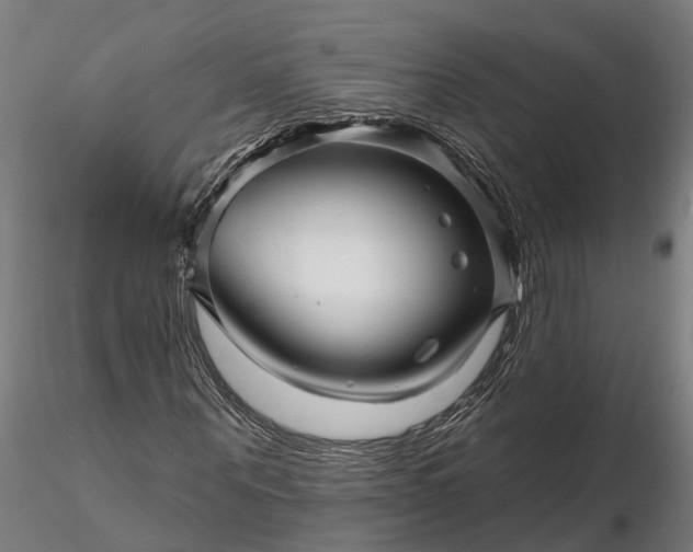 X0000116340867200912151326