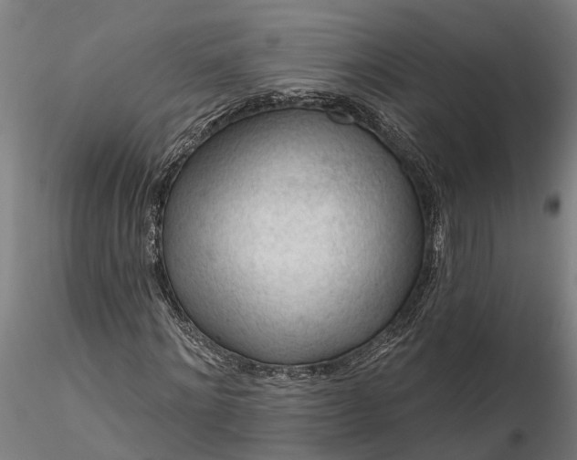 X0000116340868200912151326