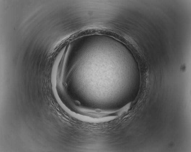 X0000116340872200912151326