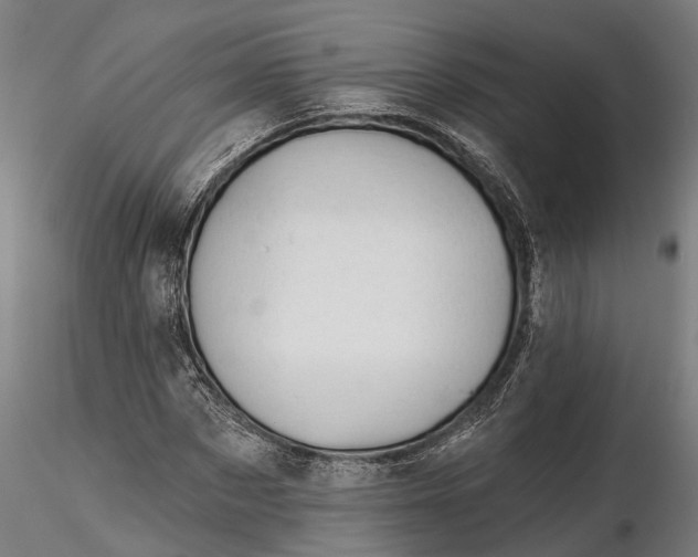 X0000116340873200912151326