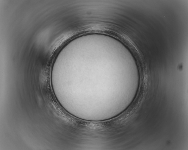 X0000116340874200912151326