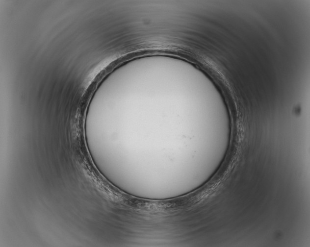 X0000116340875200912151326