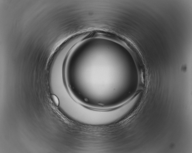 X0000116340878200912151326