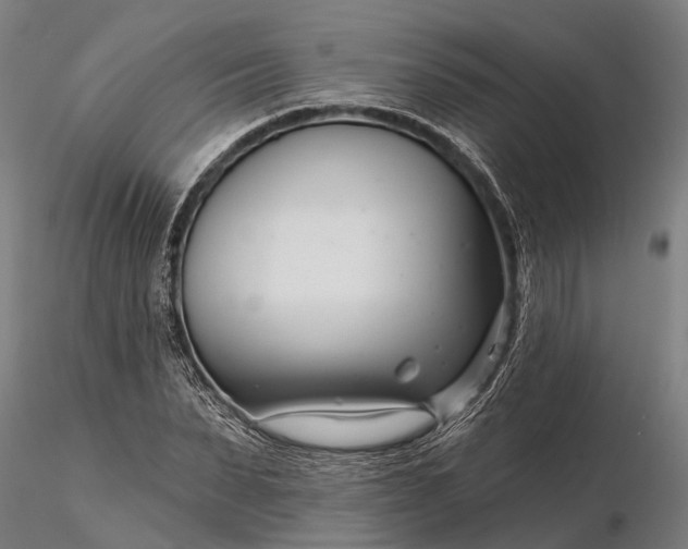 X0000116340879200912151326