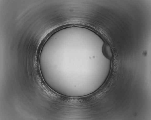 X0000116340880200912151326