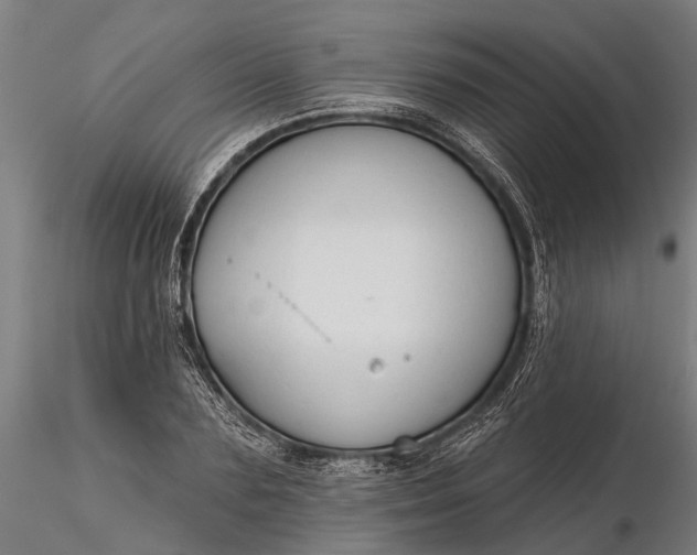 X0000116340883200912151326