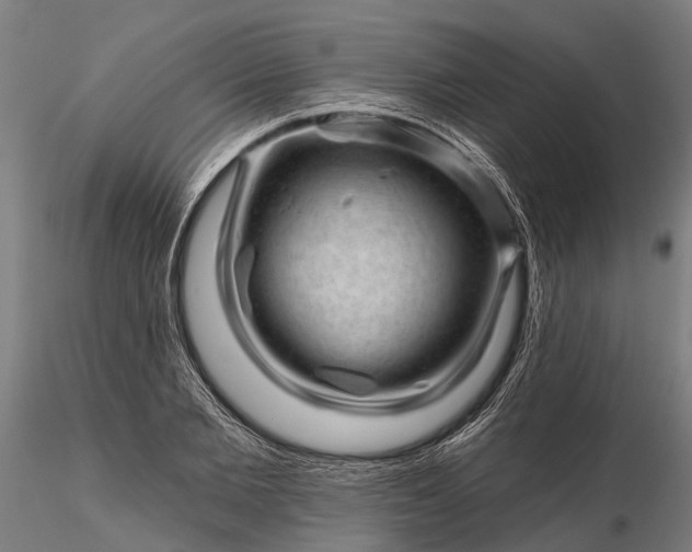 X0000116340885200912151326