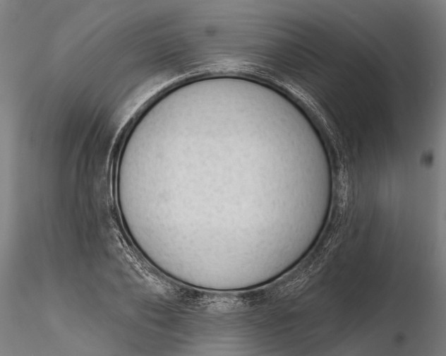 X0000116340886200912151326