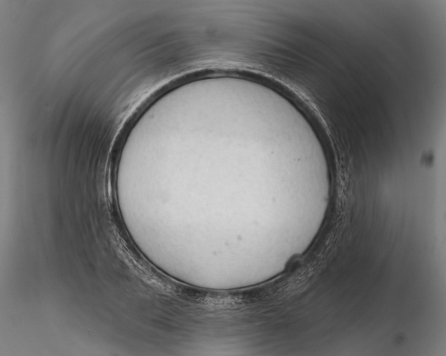 X0000116340887200912151326