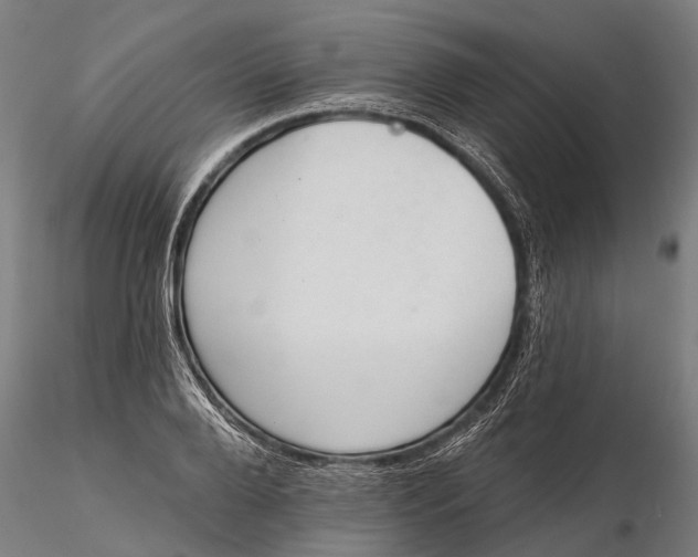 X0000116340888200912151326