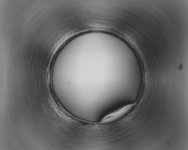 X0000116340891200912151326