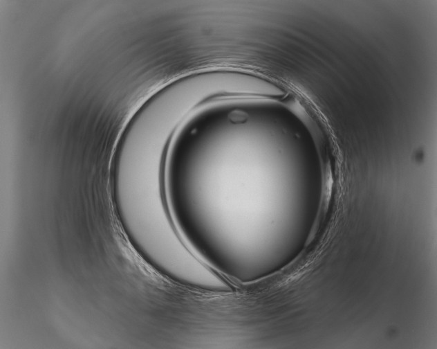 X0000116340892200912151326