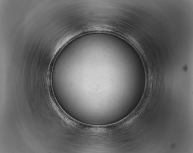 X0000116340893200912151326