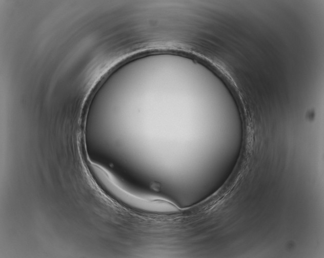 X0000116340895200912151326