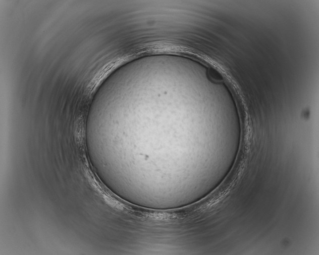 X0000116340897200912151325