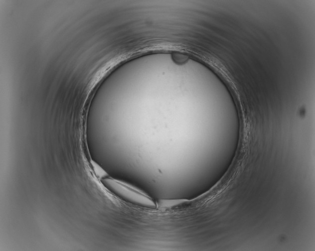 X0000116340898200912151325