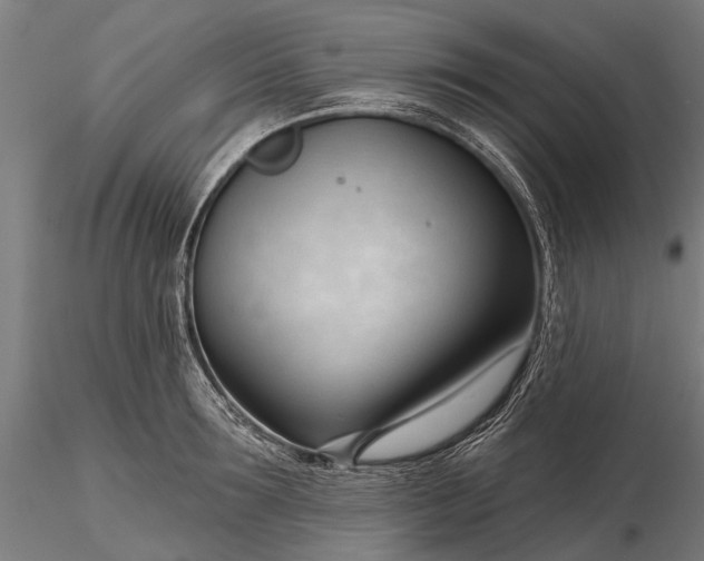 X0000116340899200912151325