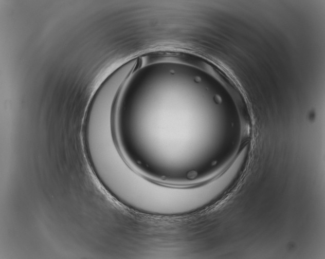 X0000116340901200912151325