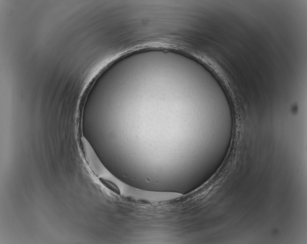 X0000116340902200912151325