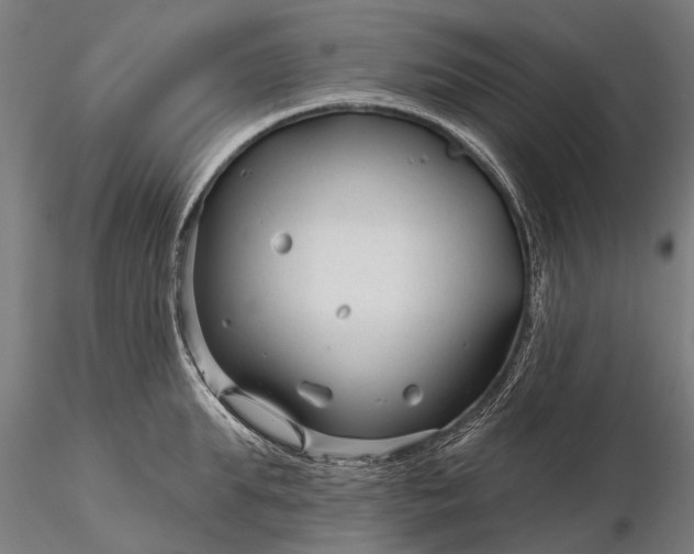 X0000116340903200912151325