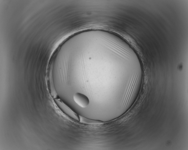 X0000116340904200912151325