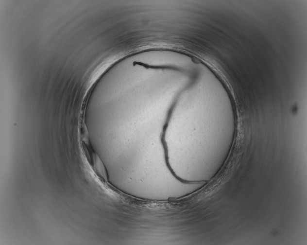 X0000116340906200912151325