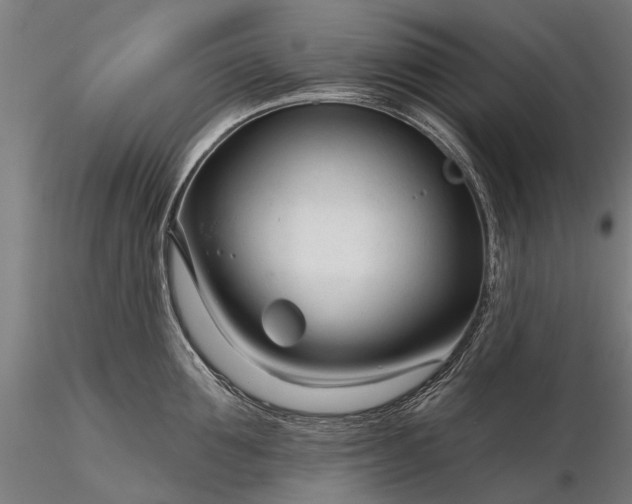 X0000116340907200912151325