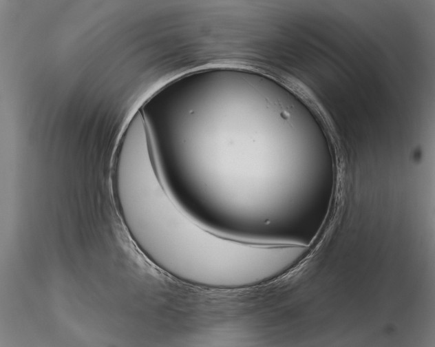 X0000116340908200912151325