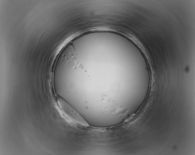 X0000116340909200912151325