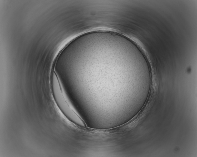 X0000116340910200912151325