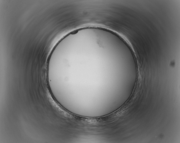 X0000116340911200912151325