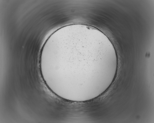 X0000116340912200912151325