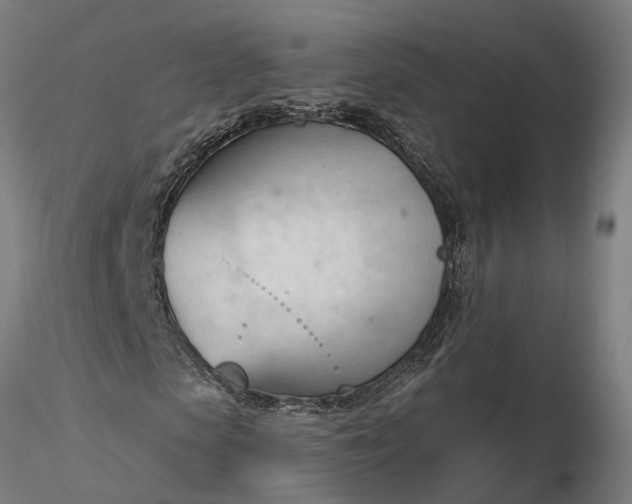 X0000116340913200912151324