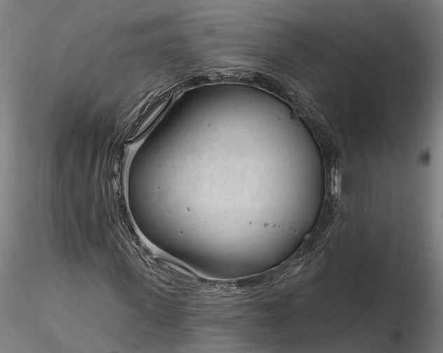 X0000116340915200912151324