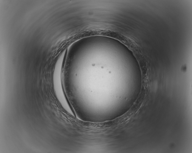 X0000116340917200912151325