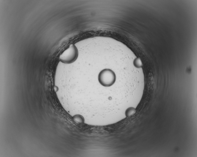 X0000116340918200912151325