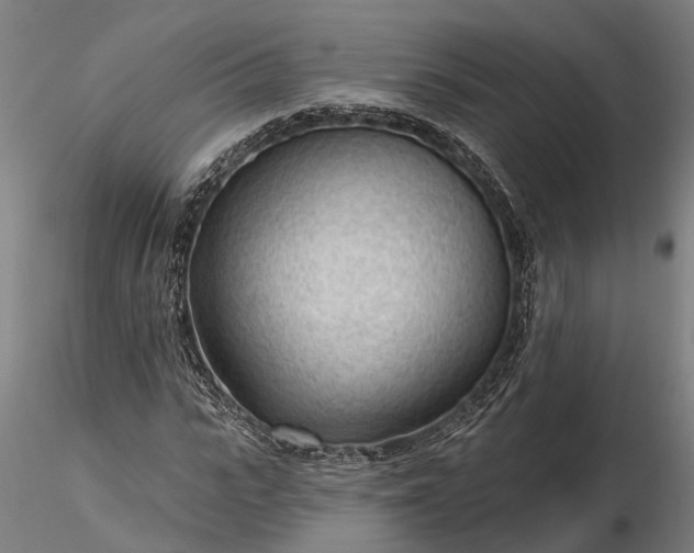 X0000116340919200912151325