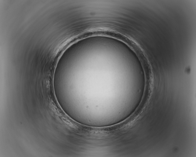 X0000116340921200912151325