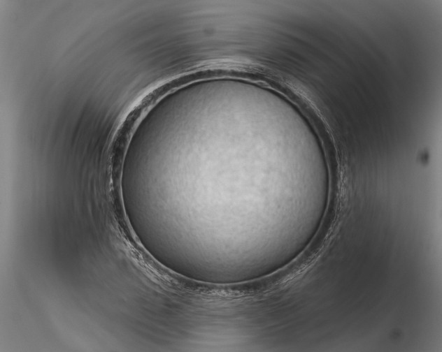 X0000116340923200912151325