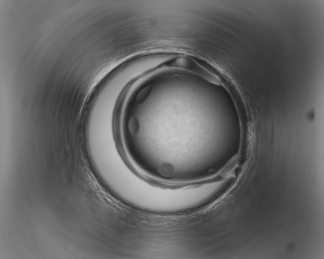 X0000116340925200912151325