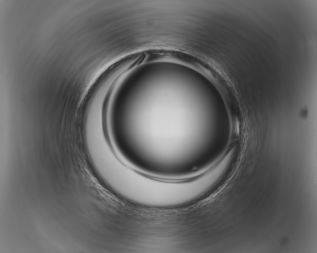 X0000116340926200912151325