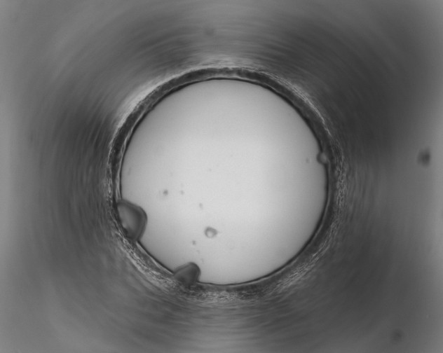 X0000116340927200912151325