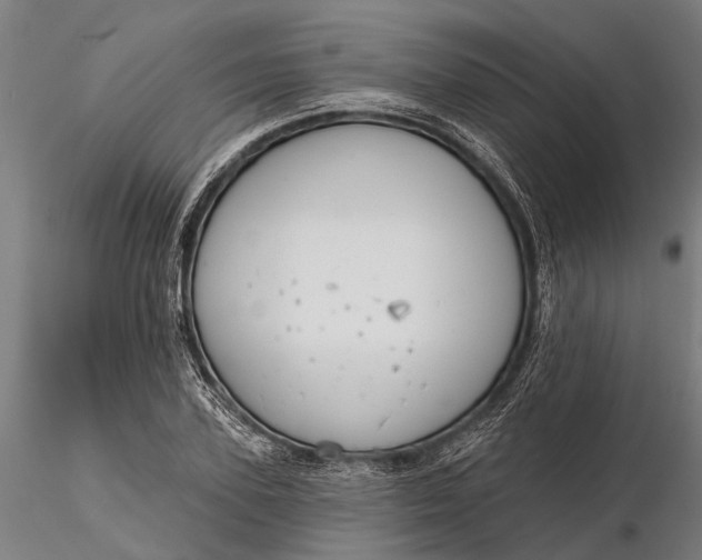 X0000116340931200912151325