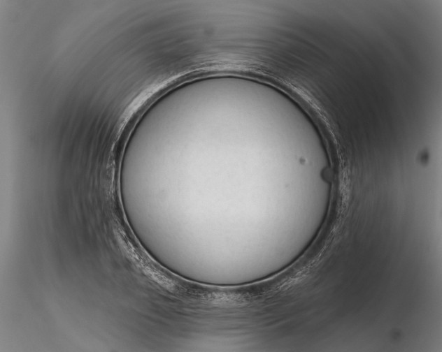 X0000116340933200912151325